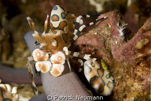 Richilieu Rock by Patrick Neumann 